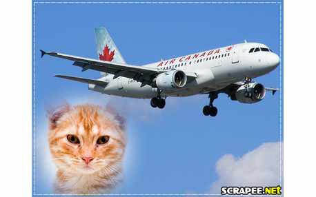 Moldura - Air Canada