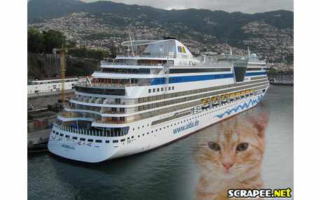 Moldura - Cruzeiro Maritimo