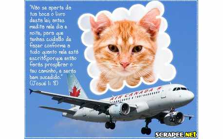 Moldura - 8 De Josue