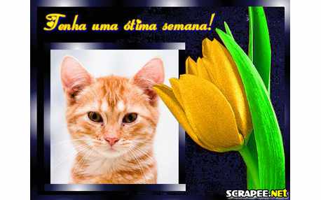 Moldura - Semana Feliz