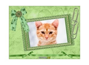 Moldura - Lindo Cartao Verde 2