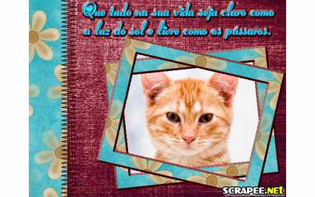 Moldura - Seja Livre