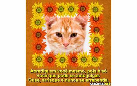 Moldura - Seja Ousado