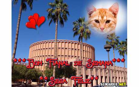 Moldura - Happy Weekend