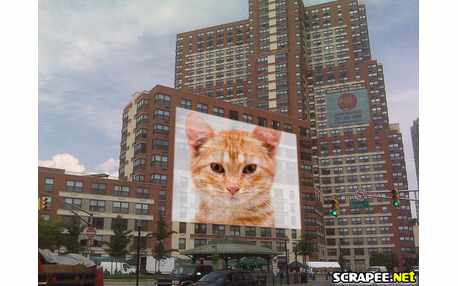 Moldura - Banner No Predio