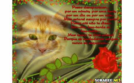 Moldura - Fidelidade Entre Amigos