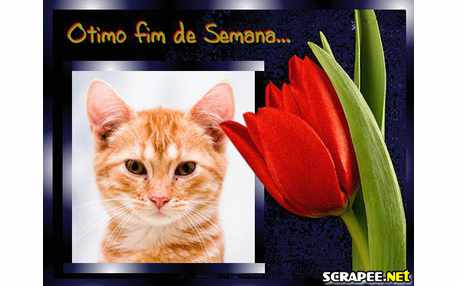 Moldura - Tulipa Vermelha