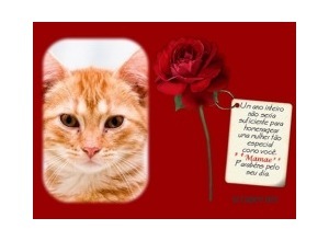 Moldura - Mensagem Com Flor