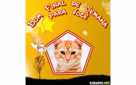 Moldura - Ceu Brilhante