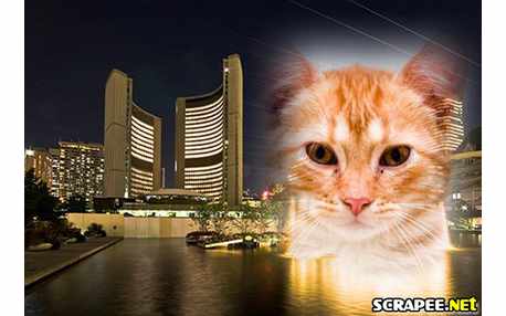 Moldura - Cidade Noturna