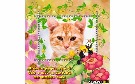 Moldura - Procure Coisas Belas