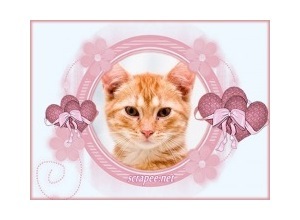 Moldura - Coracoes E Flores