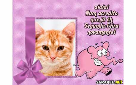 Moldura - Segunda Feira Brava