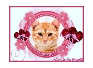 Moldura - Coracoes E Flores Vermelhas