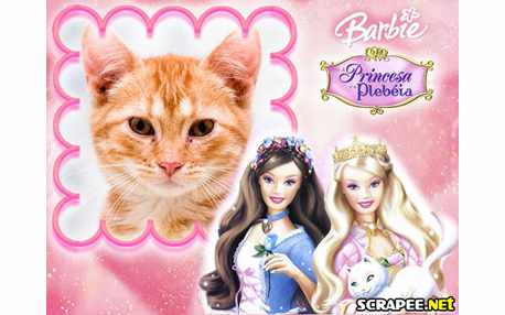 Moldura - A Princesa E A Plebeia