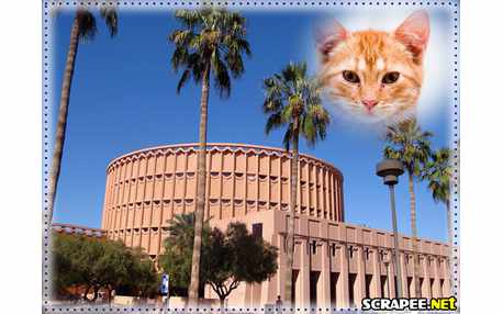 Moldura - University