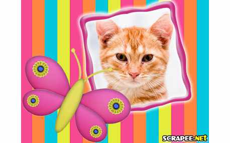 Moldura - Borboleta Rosa