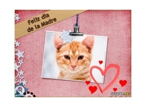 Moldura - Feliz Dia De La Madre