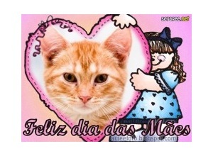 Moldura - Dia Nas Maes Com Coracao