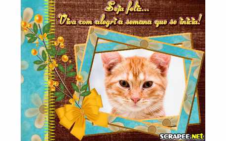 Moldura - Viver Com Alegria