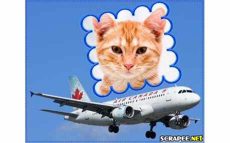 Moldura - Viagem Aerea