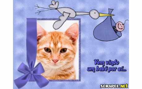 Moldura - Gravida De Menino