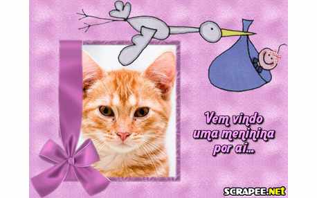 Moldura - Gravida De Menina