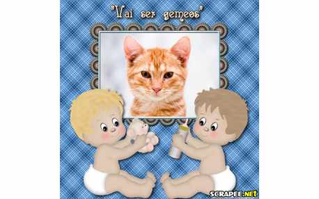 Moldura - Gravida De Gemeos