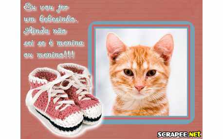 Moldura - Estou Gravida