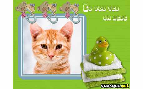 Moldura - Vou Ter Um Bebe