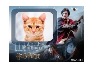Moldura - Moldura Harry Potter