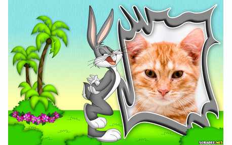 Moldura - Coelho Pernalonga