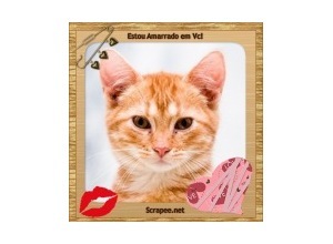 Moldura - Amarrado Em Voce Amor