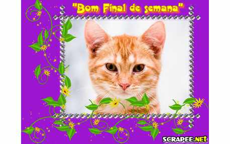 Moldura - Moldura Para Final De Semana