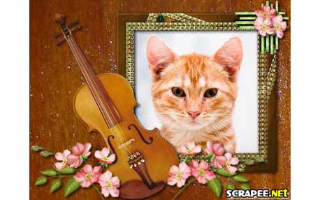 Moldura - Violoncelo