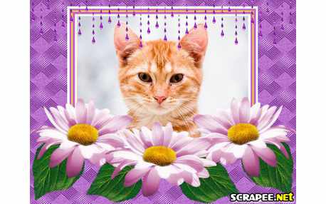 Moldura - Bom Senhor Lilas