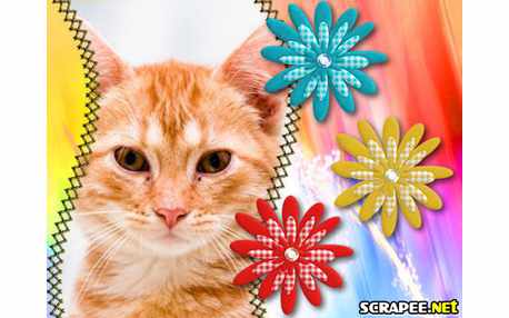 Moldura - Filme Fotografico