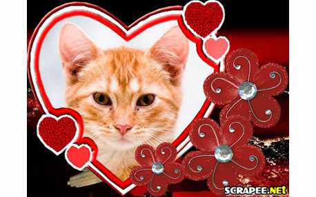 Moldura - Coracao Ferido