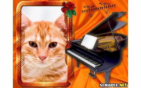 Moldura - Moldura De Piano