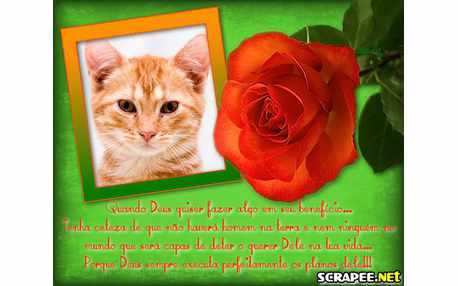 Moldura - Mensagem De Deus Para Voce