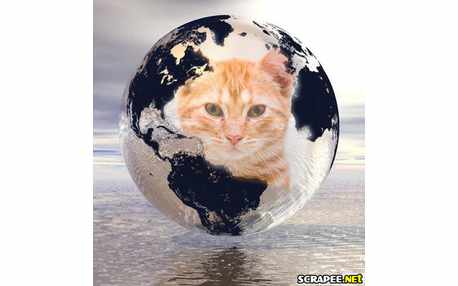 Moldura - Planeta Terra