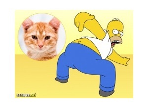 Moldura - Traseiro Do Homer Simpsom