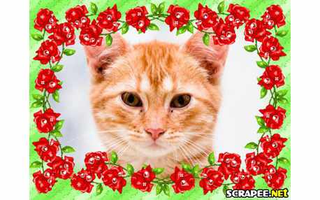 Moldura - Borda Florida