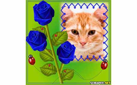 Moldura - Rosas Azuis