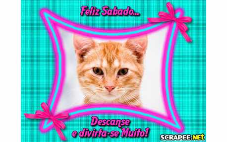 Moldura - Sabado Divertido