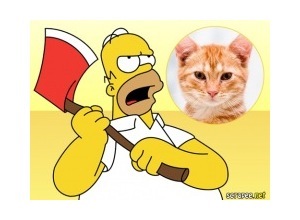 Moldura - Homer Simpsom Zangado