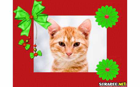 Moldura - Borda Com Laco