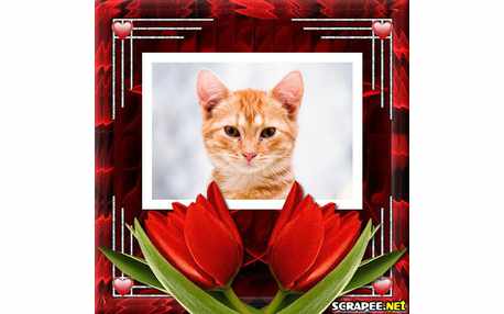 Moldura - Montagem Com Tulipa Vermelha