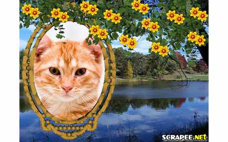 Moldura - Arvore Florida