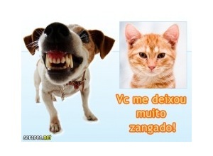 Moldura - Voce Me Deixa Zangado